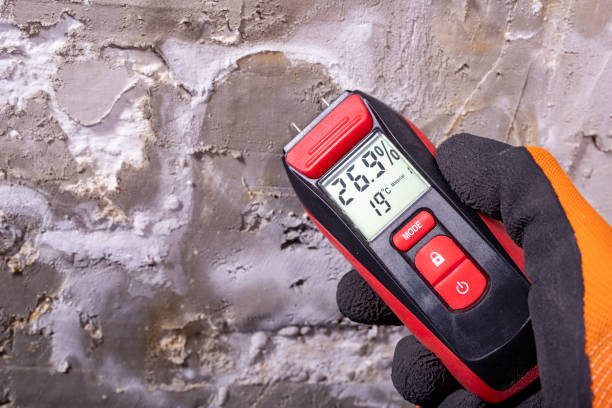 Benton, LA Mold Removal Company