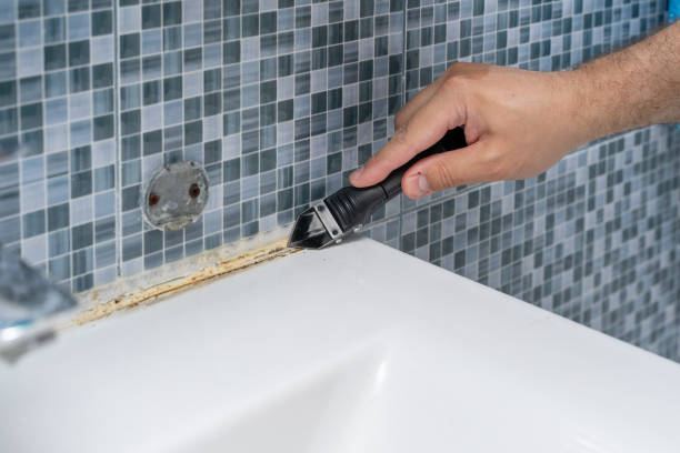 Best Best Mold Removal Companies  in Benton, LA